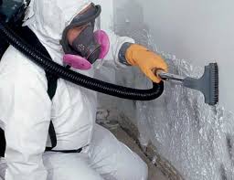 Best Water Damage & Mold Remediation in Lehi, UT